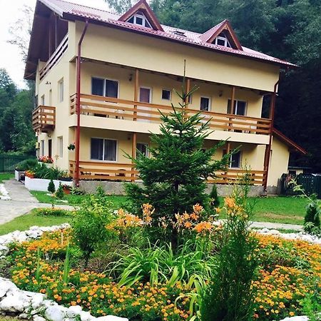 Pensiunea La Padure Cheia, Prahova Hotel Măneciu Eksteriør billede