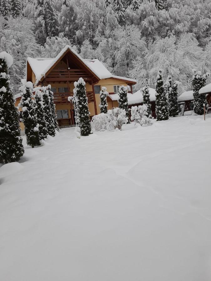 Pensiunea La Padure Cheia, Prahova Hotel Măneciu Eksteriør billede