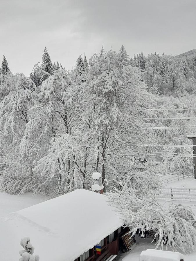 Pensiunea La Padure Cheia, Prahova Hotel Măneciu Eksteriør billede