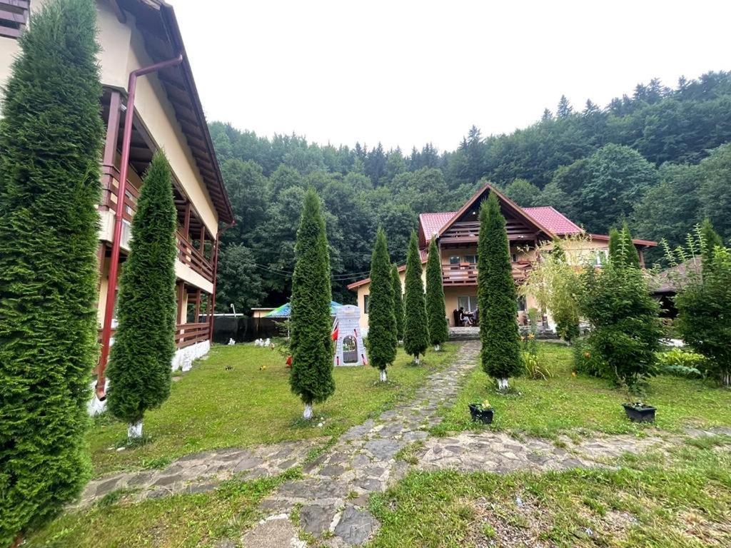 Pensiunea La Padure Cheia, Prahova Hotel Măneciu Eksteriør billede