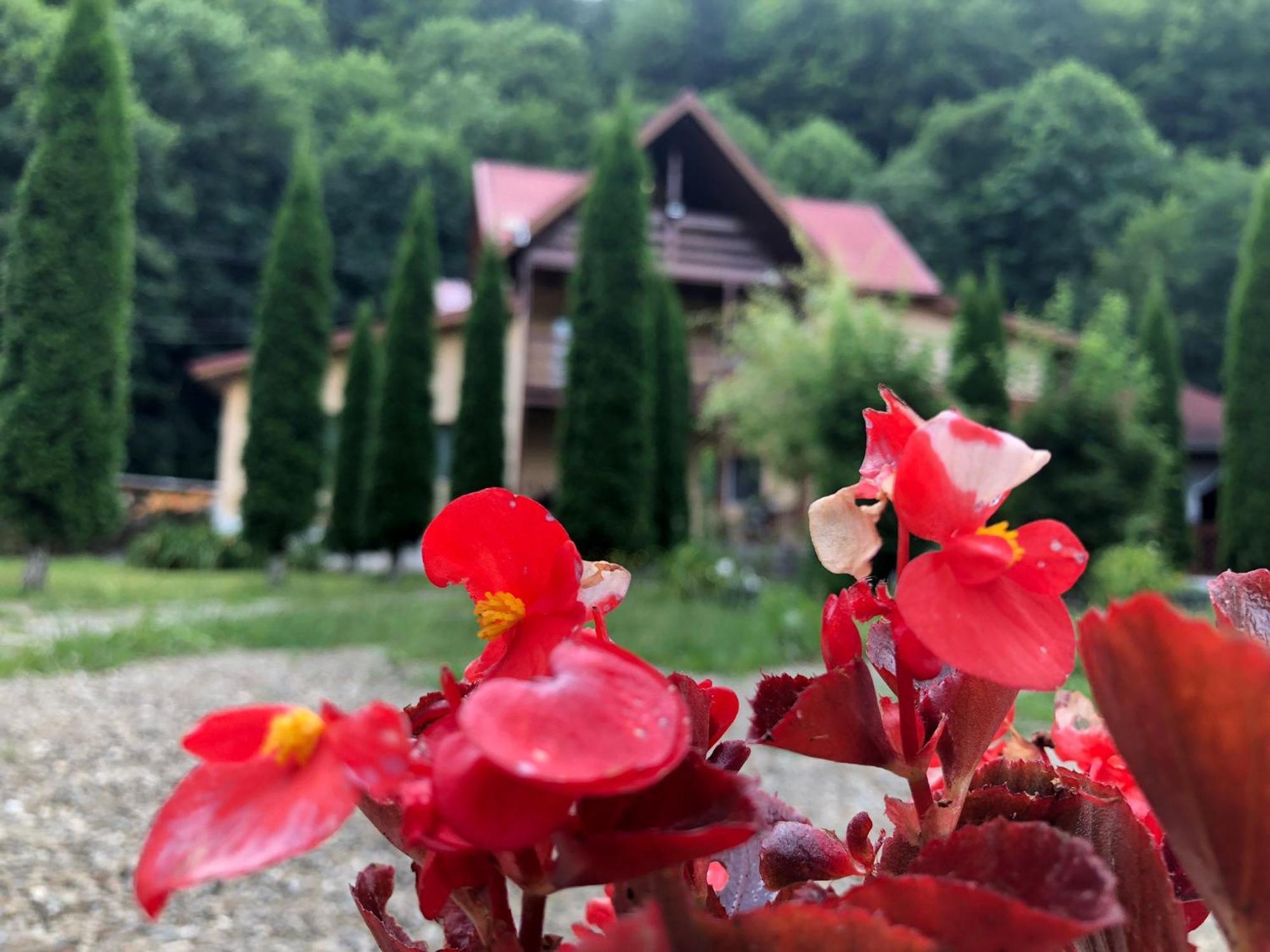 Pensiunea La Padure Cheia, Prahova Hotel Măneciu Eksteriør billede