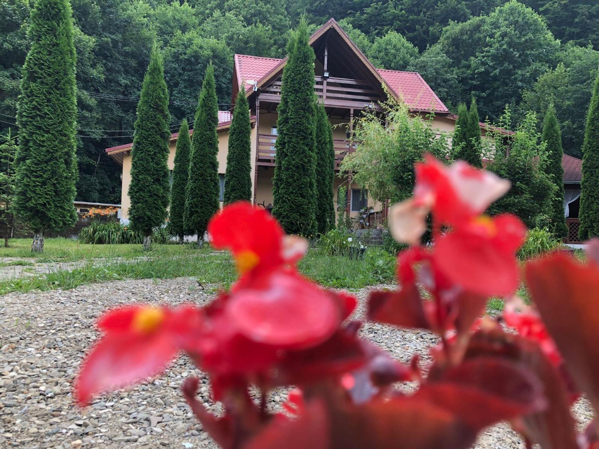 Pensiunea La Padure Cheia, Prahova Hotel Măneciu Eksteriør billede